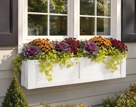 The Fall Transition Playbook: How to Refresh Your Containers for Autumn