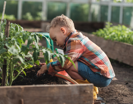 Sprouting Green Thumbs: How to Get Your Kids Hooked on Gardening
