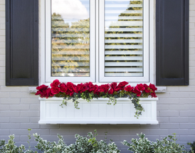 5 Easy Tips for Crafting Your Spring Window Box