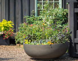 Spring Into Color: Filling Your Container Garden for Mid-May Magic