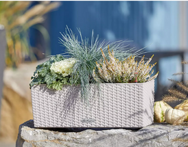 How to Use Window Boxes as Thanksgiving Table Décor