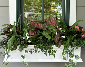 Embrace Fall with These Small Space Garden Tips