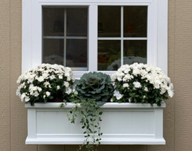 Bathed in Moonlight: Crafting a Nocturnal Oasis in Your Window Boxes