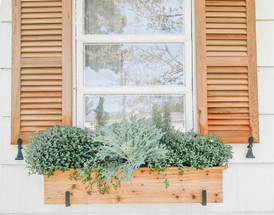 Fall Window Box Ideas