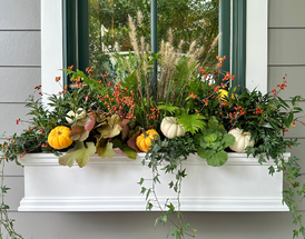 Bringing Autumn's Palette Home: Native Fall Window Boxes & Planters