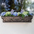 Regalia window box with oil rubbed bronze liner mounted under window