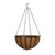 English Garden Hanging basket on a white background English Garden Hanging basket on a white background