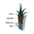 Self Watering Diagram of tall vinyl planter