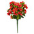 Red Bougainvillea Outdoor Rated bush