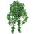 Green no flowers Azalea vine UV rated outdoor