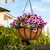 Hanging Basket Coconut Liner in basket hanging from a patio cover.