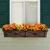 48"  Medallion Window Box with two repeating "X" patterns, with flowers, oil rubbed bronze liner