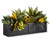 Simple Window Box with black galvanized liner on white background, planted with tropical foliage