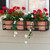 Simple Window Box with 4 terracotta pots with red flowers, mounted on home with dark green shutters