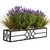 36" Falling Water Window Box with white pvc liner and planted with lavender on white background