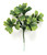 Boxwood Outdoor Rated Picks- Pack of 12- 2 Sizes