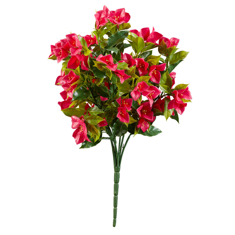 Fuchsia Bougainvillea Outdoor Rated Bush