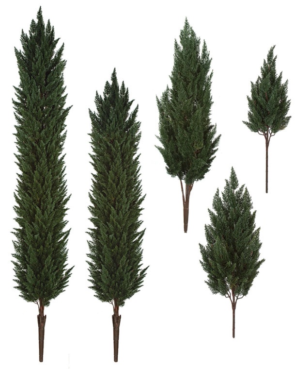 Outdoor Rated Artificial Cypress in various sizes: 32", 41", 56", 8ft, 10ft and 12ft on white background