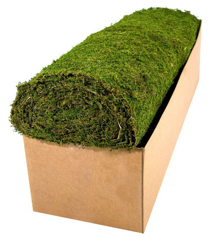 Preserved Moss Roll in a carton