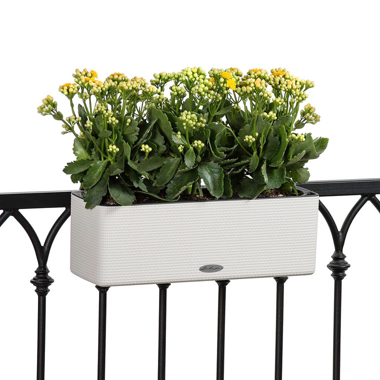 White Balconissima Self Watering Railing Planter on wrought iron rail