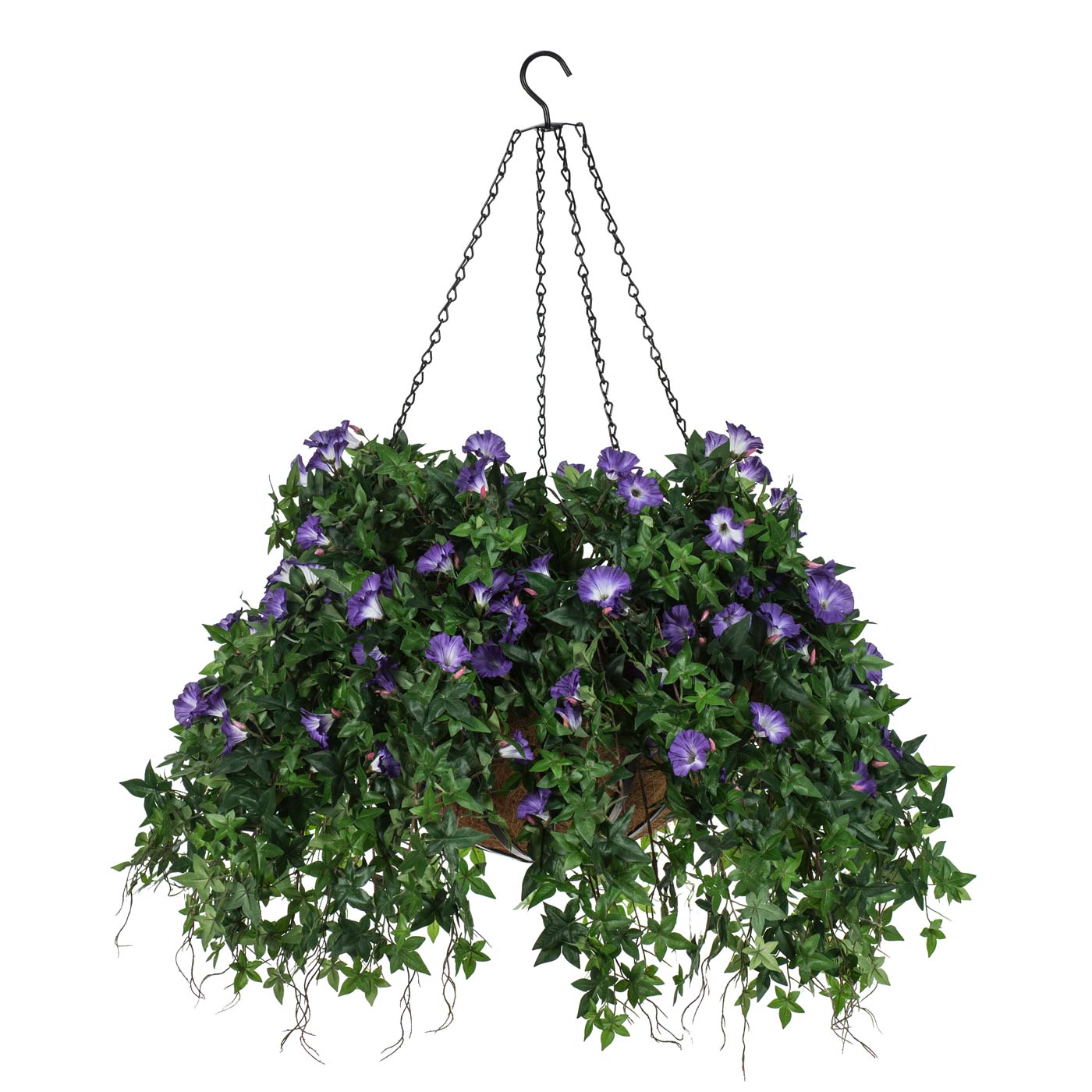 buy stinging nettle plants Stinging Nettle – 100 Seeds main image 1