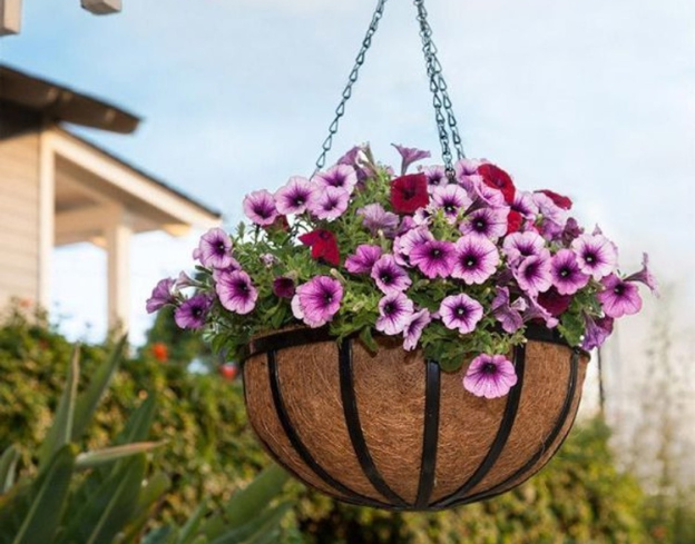 Transforming Your Balcony into a Garden Sanctuary - Windowbox.com