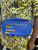 I speak Fluent Greek bag -SGRho fannypack