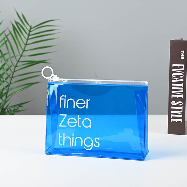 Finer Zeta things clear pouch
