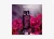 Amethyst, Eau de Parfum
