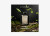 Lalique L'insoumis 100ml