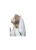 Lladro A Kiss To Remember Couple Figurine