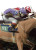 Lladro At The DerBy Le Figurine