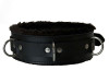 Strict Leather Premium Fur Lined Locking Collar- XL