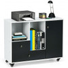 Lateral Mobile Filing Cabinet with 2 Drawers-Black