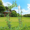 8 Feet 4 Inch High Gothic Steel Rose Arch