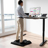 Portable Anti-Fatigue Standing Mat with Massage Points and Diverse Terrain-Black
