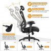 High Back Mesh Executive Chair with Adjustable Lumbar Support