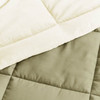 Full/Queen 3-Piece Microfiber Reversible Comforter Set in Sage Green/Cream