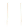 Carolee Gold Stainless Steel Line Drop Earrings