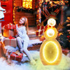 2.6 Feet Lighted Snowman with LED Lights and Metal Stand