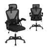 Ergonomic Mesh Office Chair with Adjustable Lumbar Support and Flip-up Armrests-Black