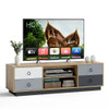Modern 55 Inch TV Stand with 2 Storage Cabinets for TVs up to 60 Inch