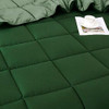 Twin/Twin XL Traditional Microfiber Reversible 3 Piece Comforter Set in Green Twin/Twin XL Traditional Microfiber Reversible 3 Piece Comforter Set in Green