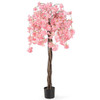 5.5 FT Tall Artificial Cherry Blossom Tree with Pink/White Flowers 1 Pack-Pink