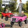 24V 2 Seater Ride on Car 4WD/2WD Switchable for Kids with Remote for Ages 3+-Black
