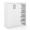 Shoe Cabinet with 2 Doors Shoe Storage Organizer with 2 Adjustable Inner Shelves-White