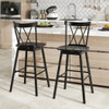Set of 2 Windsor Bar Stool with Ergonomic Backrest and Footrests-29 inches