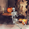 5.4 Feet Halloween Skeleton Life Size Realistic Full Body Hanging