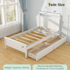 Twin Size Wooden Bed Frame with 2 Drawers for Teens and Adults-Gray