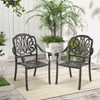 2 Pieces Patio Cast Aluminum Dining Chairs with Armrests-White